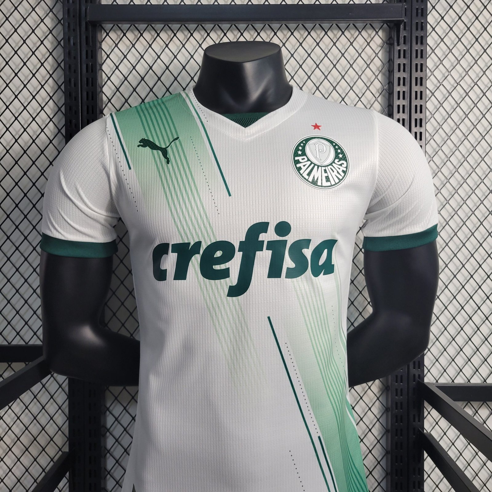 Camisa de Futebol Palmeiras 2024