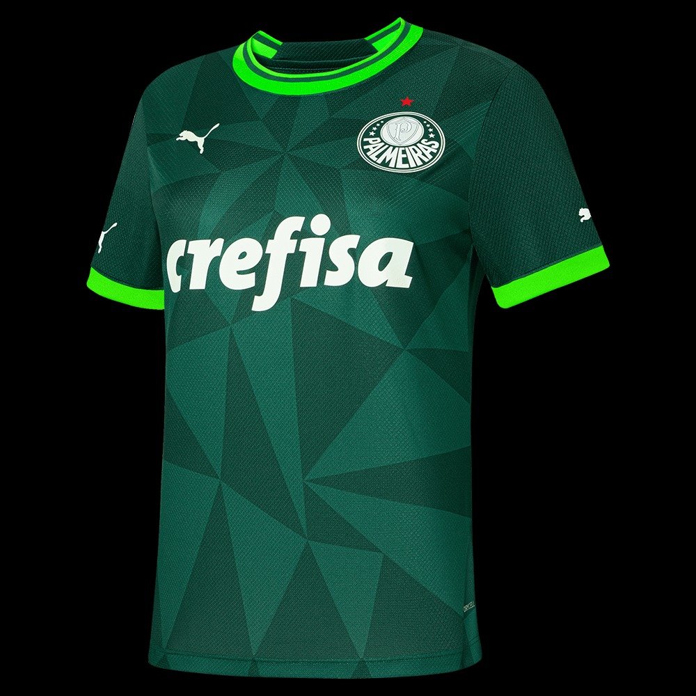 Camisa de Futebol Palmeiras 2024