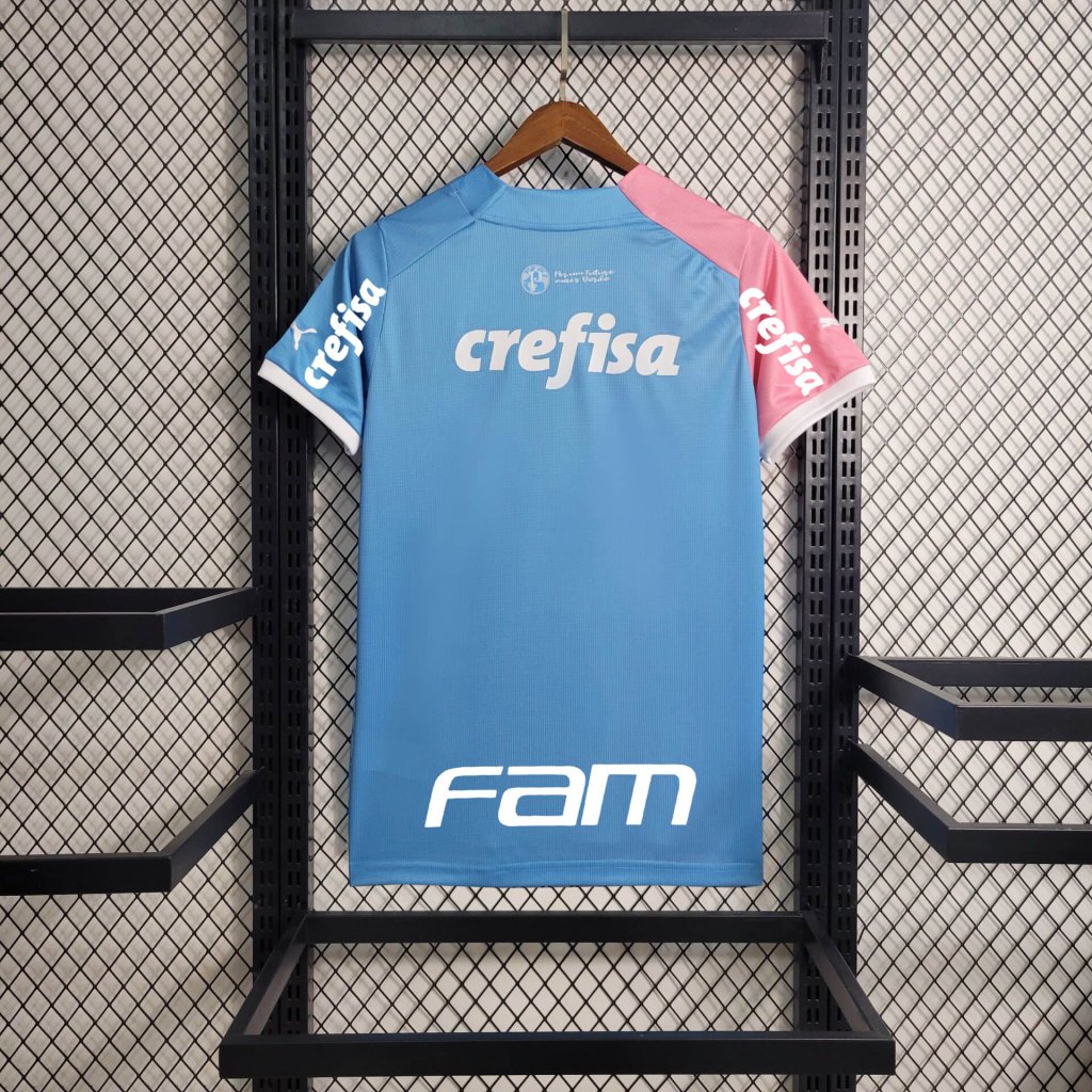 Nova Camisa Palmeiras Outubro Rosa E Novembro Azul Todos Patrocínios T -  021 Sport, Maior Variedade de Camisas de Futebol