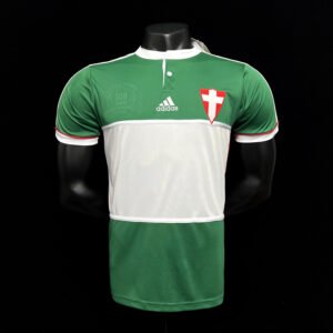 Camisa do Palmeiras  (Verde) 2014 – Versão Retrô